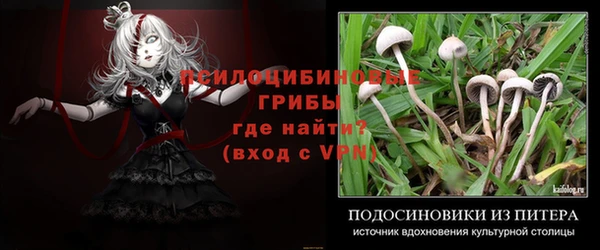 стаф Лиски