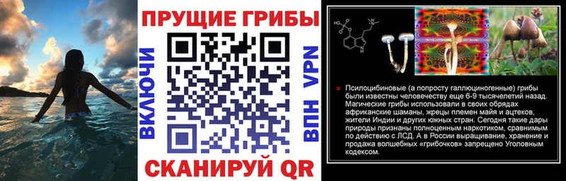 дарнет шоп  Тимашёвск  Псилоцибиновые грибы MAGIC MUSHROOMS 