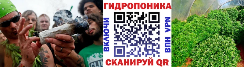 сколько стоит  Тимашёвск  blacksprut ONION  Бошки марихуана MAZAR 